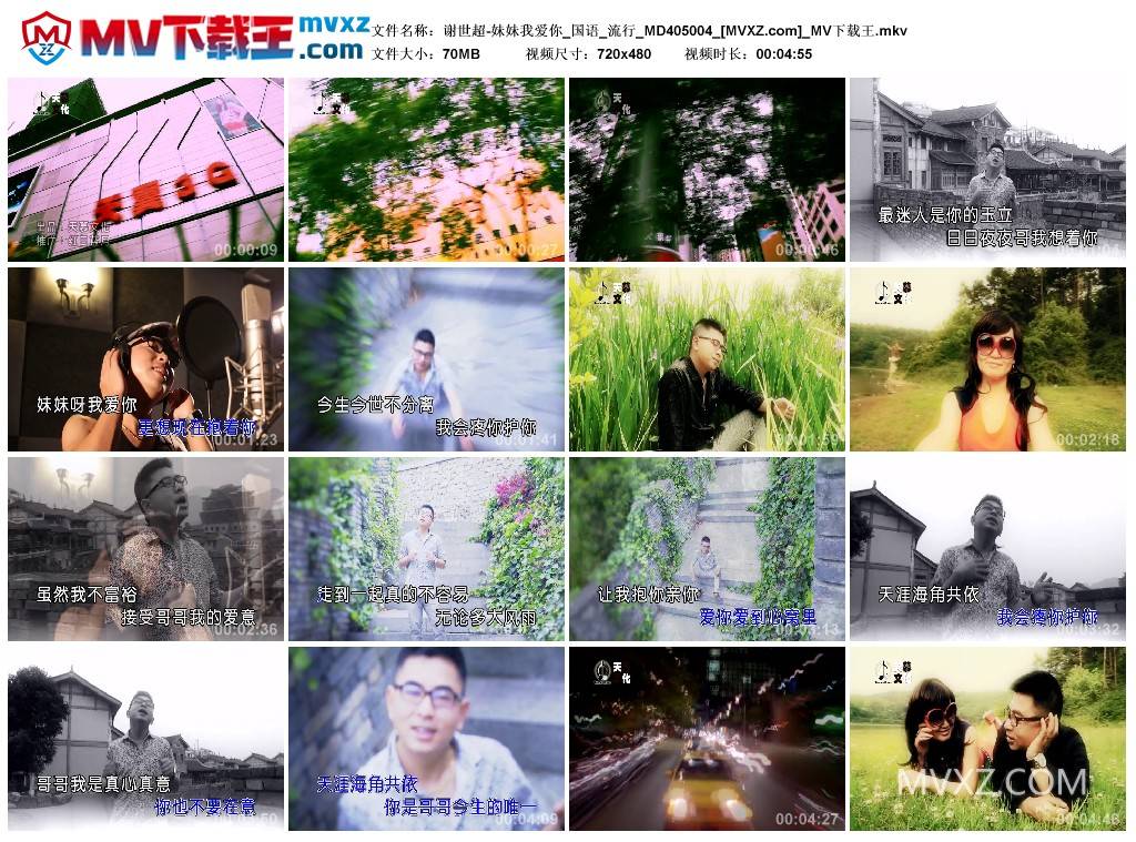 谢世超-妹妹我爱你_国语_流行_MD405004